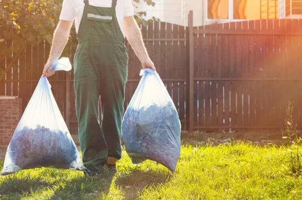 Best Local Junk Hauling  in Mount Morris, MI